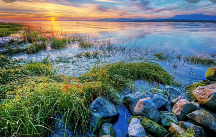 Upcoming celebrations: Ayyám-i-Há, the Fast,  Naw-Rúz, etc.